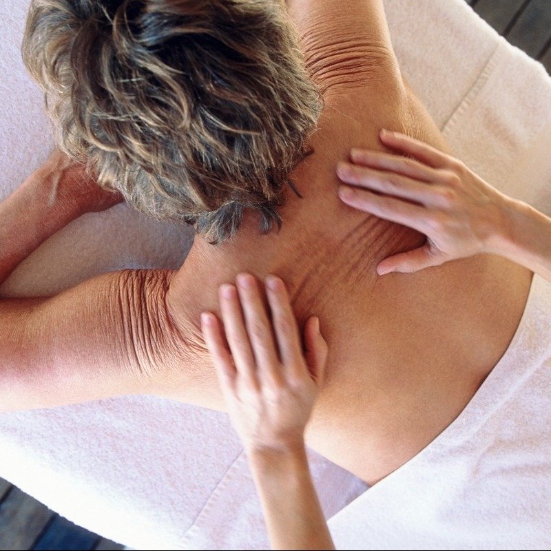 Beauty program 2025/2026