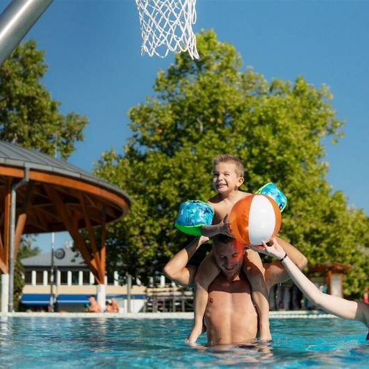 Svátky 2026 - Repce Gold