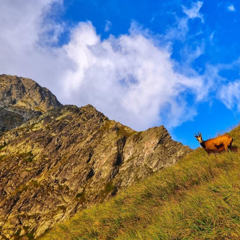 <p>Jarní víkend v Tatrách</p>
