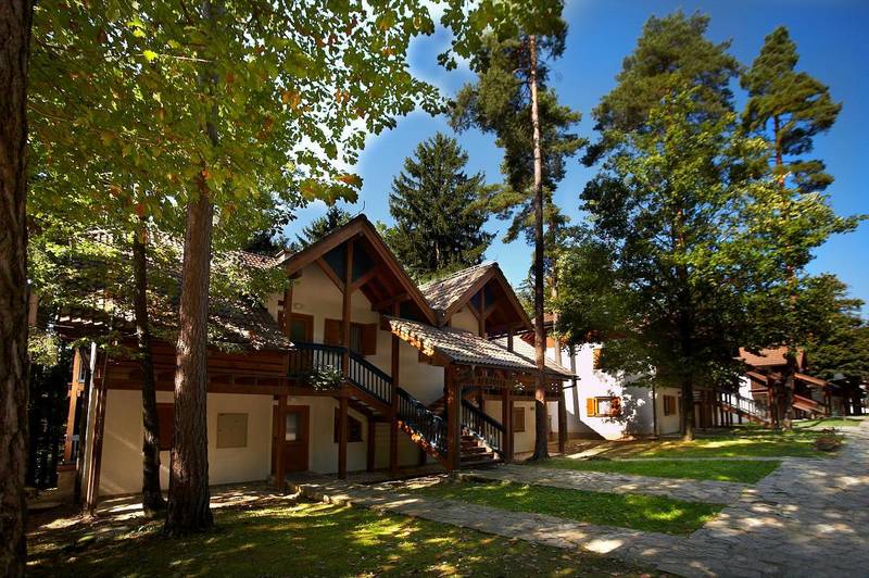 Terme Zreče Villas ****