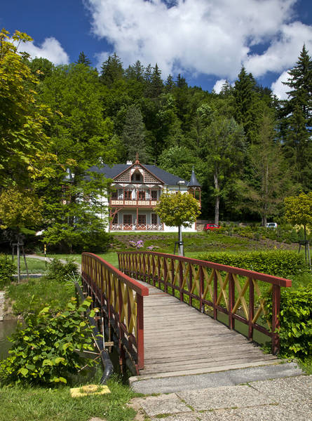Hotel Vila Alpská růže**** 