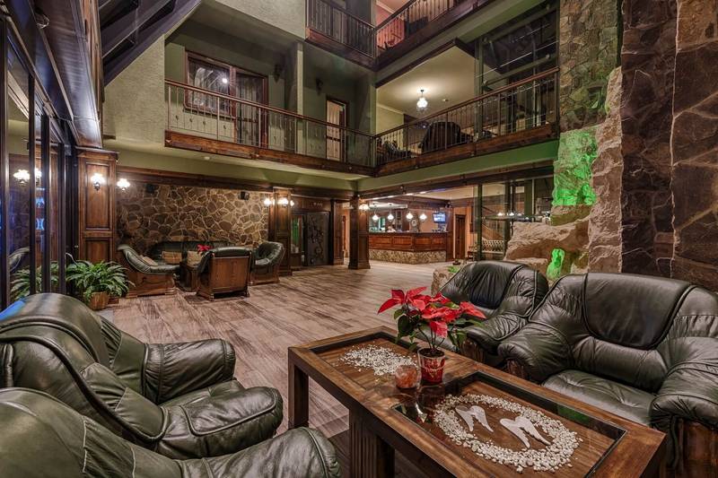 Wellness hotel Borovica ****