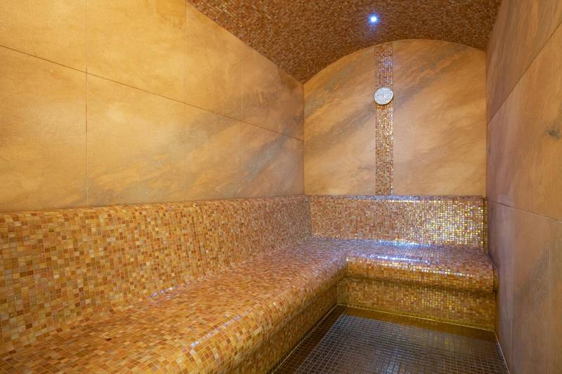 Wellness hotel Borovica ****