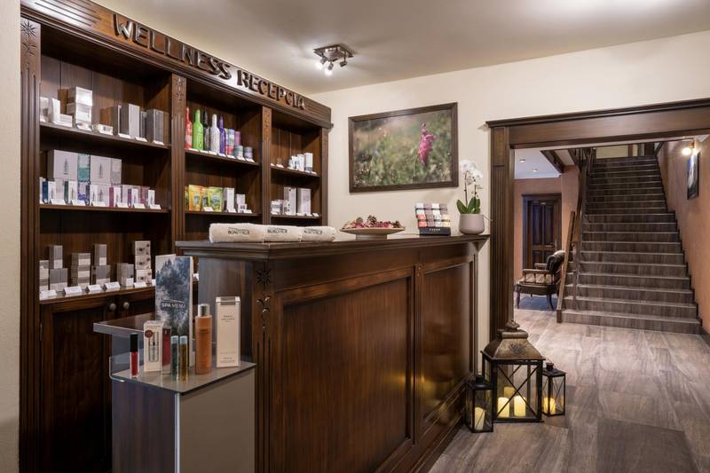 Wellness hotel Borovica ****