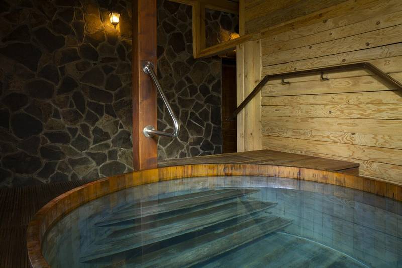 Wellness hotel Borovica ****
