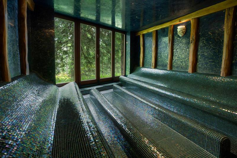 Wellness hotel Borovica ****