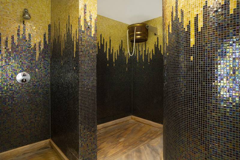 Wellness hotel Borovica ****