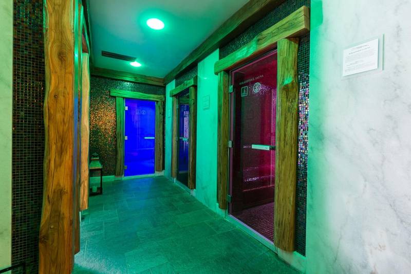 Wellness hotel Borovica ****