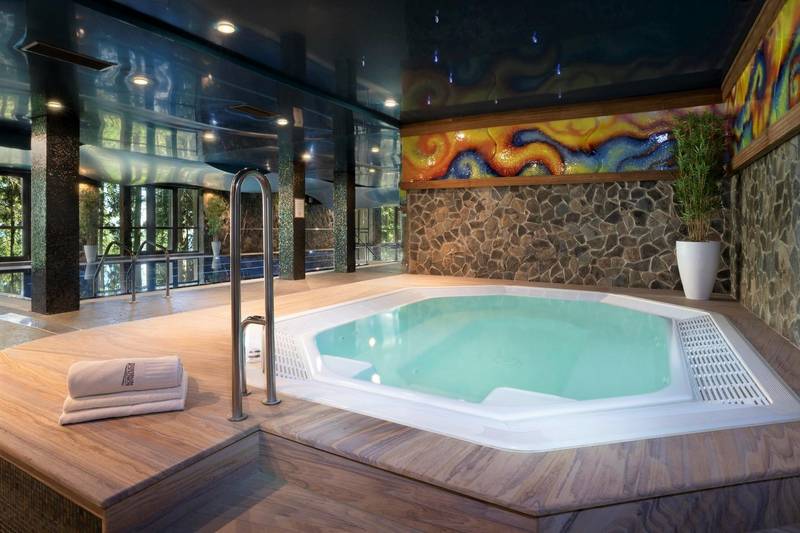Wellness hotel Borovica ****