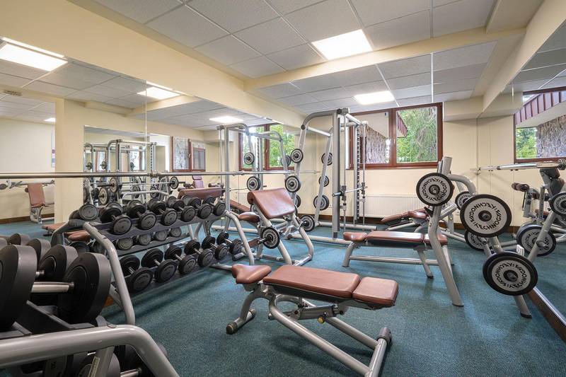Wellness hotel Borovica ****
