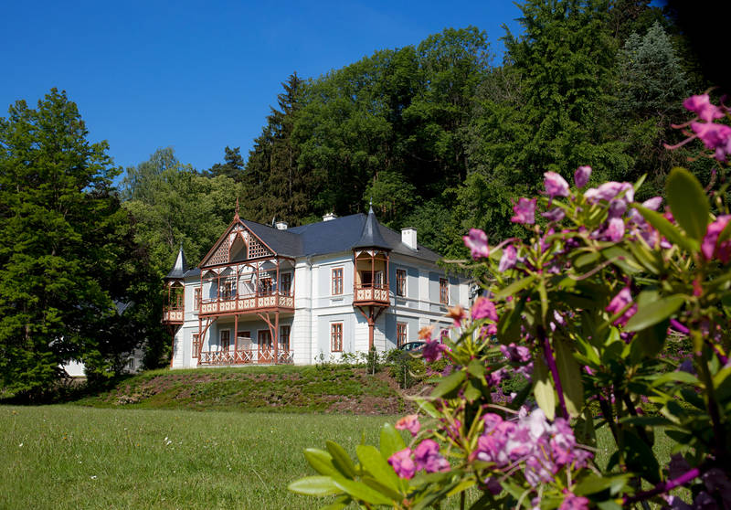 Hotel Vila Alpská růže**** 
