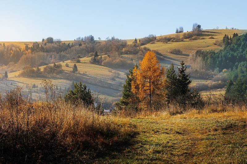Hotel Choč ***