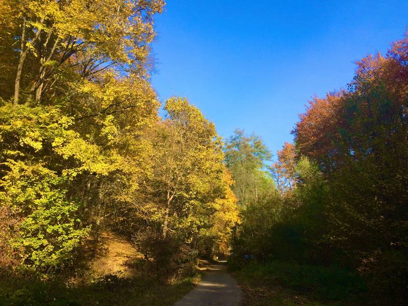 Penzion Lázeňský dům Alžbeta 