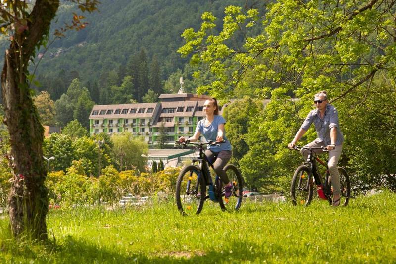 Hotel Vesna ***
