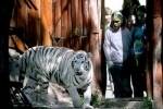 ZOO Bratislava