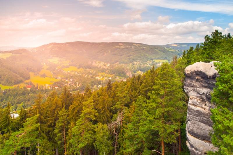 Wellness á La Carte 2026