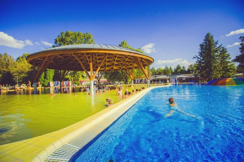 Svátky 2026 - Repce Gold