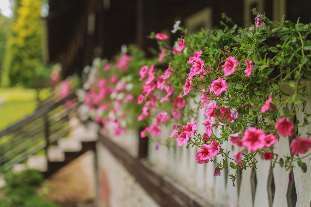 Švajčiarske domčeky ***