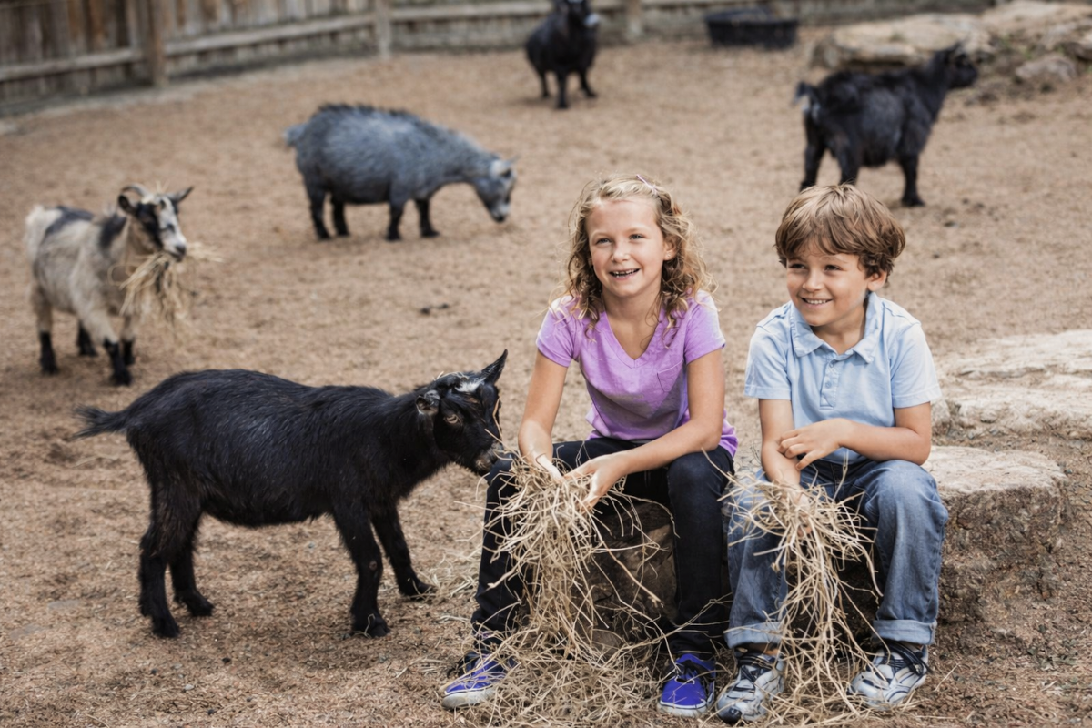 Wellness pobyt + ZOO