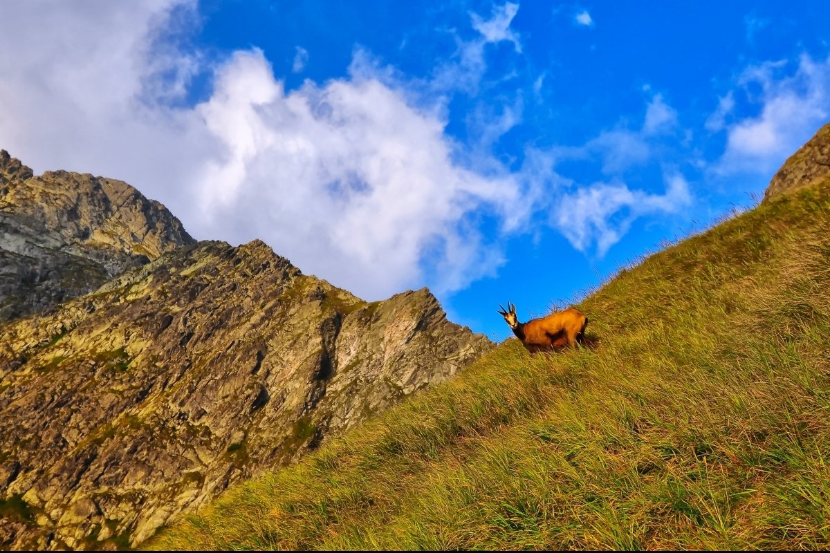 <p>Jarní víkend v Tatrách</p>