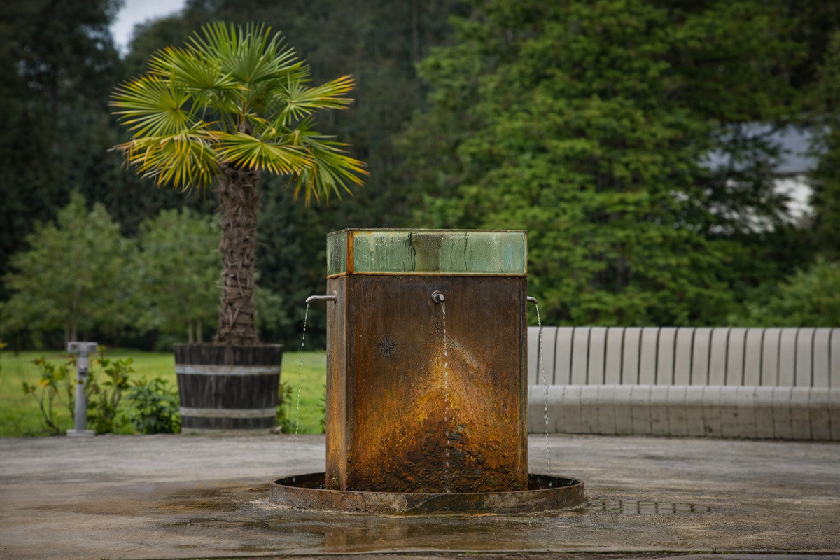 Luhačovická Vincentka je zlato pro buněčnou imunitu