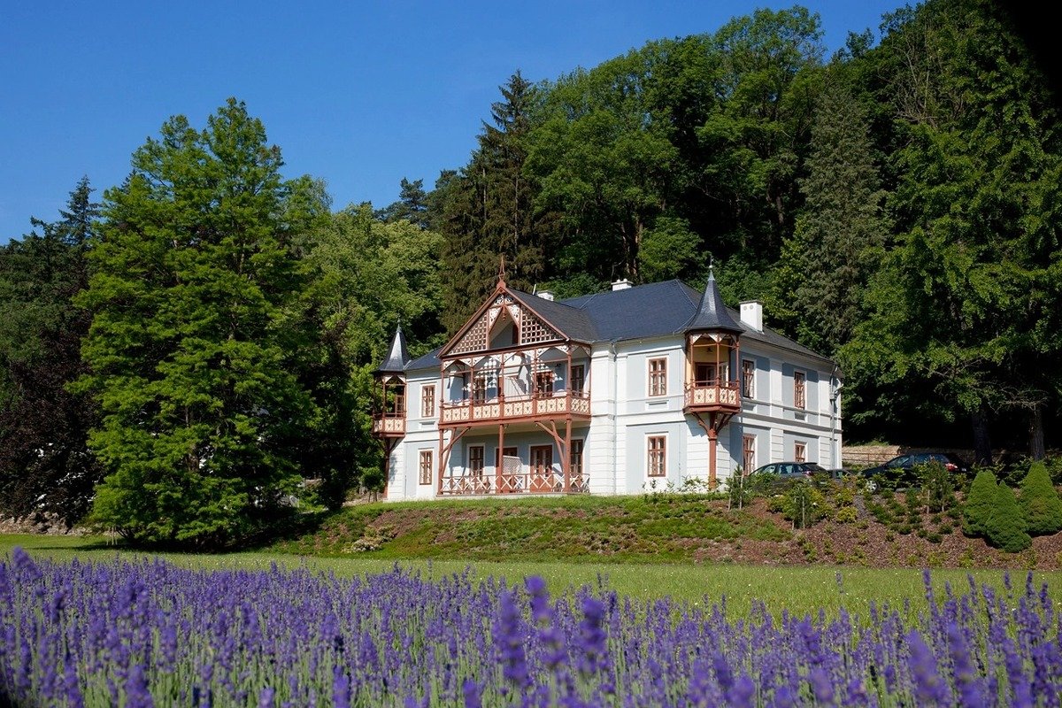 Hotel Vila Alpská růže**** 